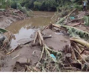 El río Sevilla se desbordó y dejó estragos. 