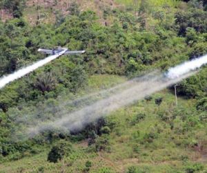 Campos fumigados