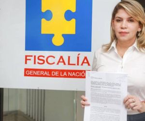 Fiscalía Virna Johnson.