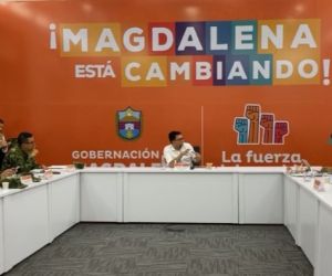 Consejo de Seguridad Departamental.
