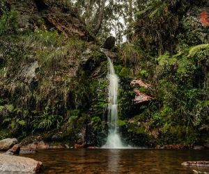 Quebrada Las Delicias