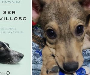 El libro brinda una mirada científica a la relación entre perros y humanos.