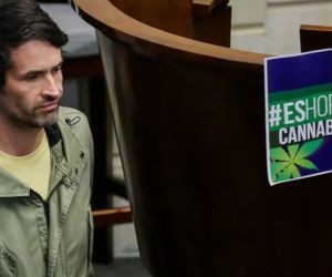 Reforma del uso adulto del Cannabis.