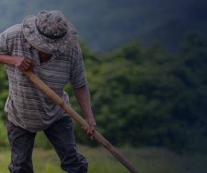 Observaciones de la Procuraduría sobre la compra de tierras y extinción de dominio