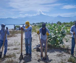 Proyecto de erosión costera en Puebloviejo