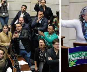 Por mayoría, el Congreso hundió la iniciativa de la senadora Pizarro.