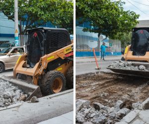 Plan de reposición de placas en Gaira.