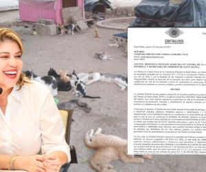 La Contraloría confirmó las denuncias de la Veeduría de Bienestar Animal