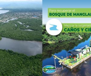 Corpamag ha intervenido caños y ríos para recuperar la Ciénaga Grande de Santa Marta