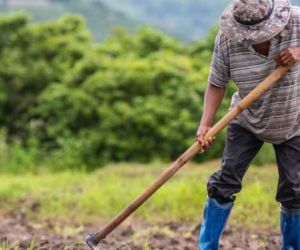 Procuraduría pide a  ANT informe ante la falta de claridad en la Reforma Rural Integral.