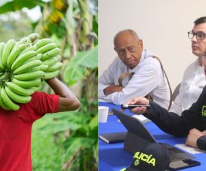 Productores denuncian fuerte ola de inseguridad en Zona Bananera
