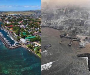 36 muertos en la tragedia de Maui: 14 se lanzaron al agua para no morir.