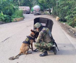 La ley que prohíbe el uso de animales para garantizar el orden público fue sancionada