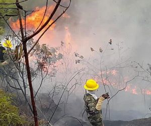 Incendios en Santander.