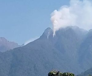 Incendio en Palmor de la Sierra.