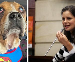 La senadora Andrea Padilla es autora del proyecto.