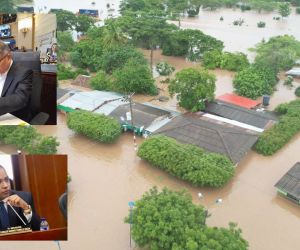 Corregimiento de Apure