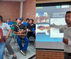La capacitación tuvo lugar en el edificio administrativo del Mercado Público.