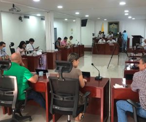 Concejo Distrital de Santa Marta