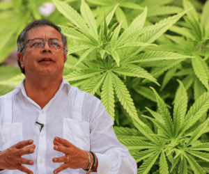Petro pide al Congreso legalizar el cannabis "para aprovechar el mercado mundial"