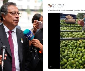 Presidente Gustavo Petro