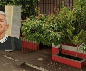 Edwin José Alfonso Meriño