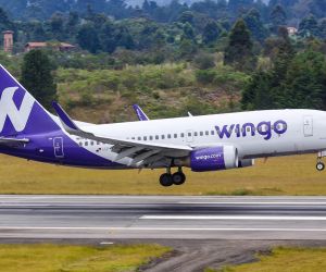 Wingo. 