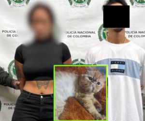 Presuntos extorsionadores