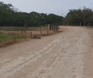 Hallan cuerpo sin vida en la vía Guáimaro - Remolino