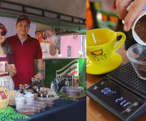 Santa Market Coffe Edition