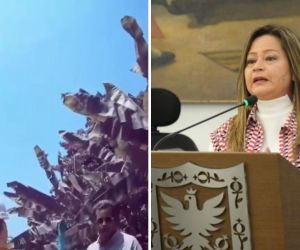 Ministra Mafe Rojas