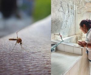 Casos de dengue en Santa Marta