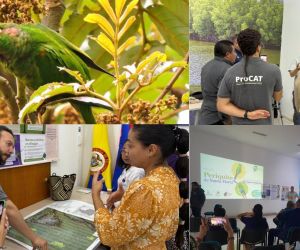 Taller liderado por CORPAMAG y PROCAT