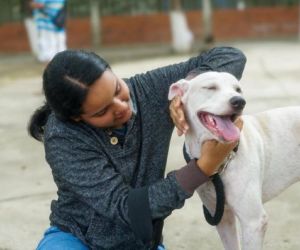 Esterilizaciones masivas en Santa Marta