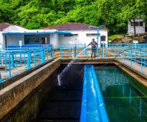 Planta de Tratamiento de Agua Potable.