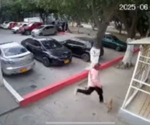 Momento en el que este sujeto golpeó mortalmente al perrito.