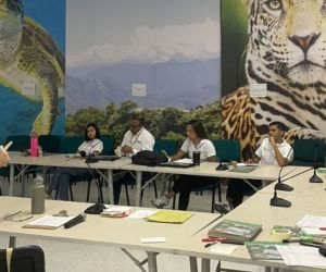  taller intensivo de transferencia de ambiente