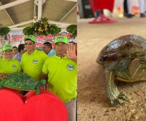 Jornada de liberación de especies.
