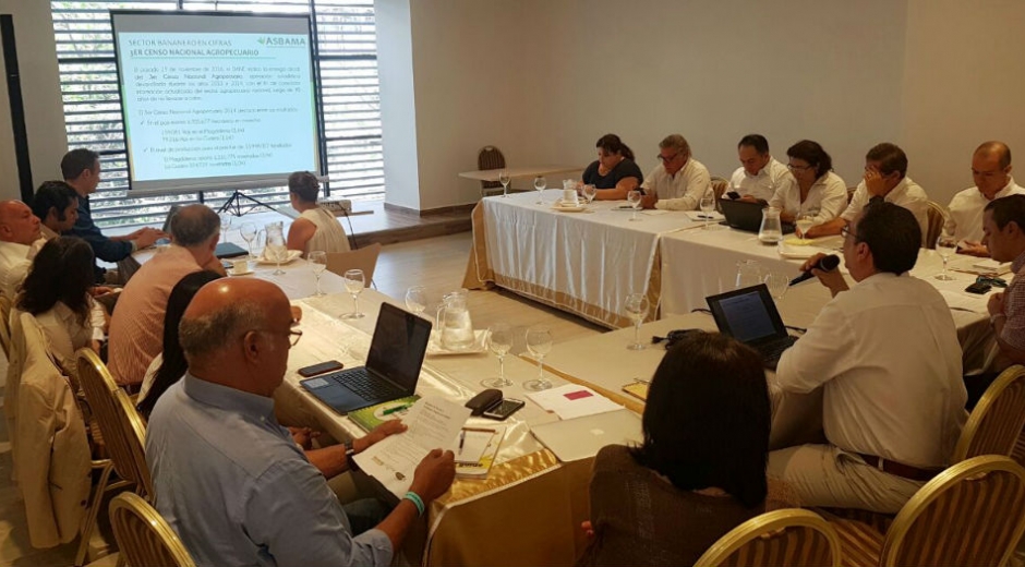Participantes intercambian propuestas a favor del sector bananero.