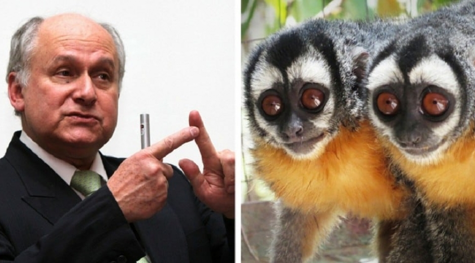Manuel Elkin Patarroyo y dos ejemplares de monos nocturnos