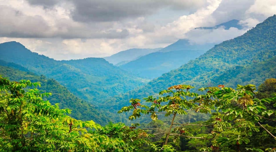 Personas de diferentes regiones del país llegaron a Sacramento para buscar un tesoro. Lo que encontraron fue una tierra que los acogió para siempre. Foto: iStock