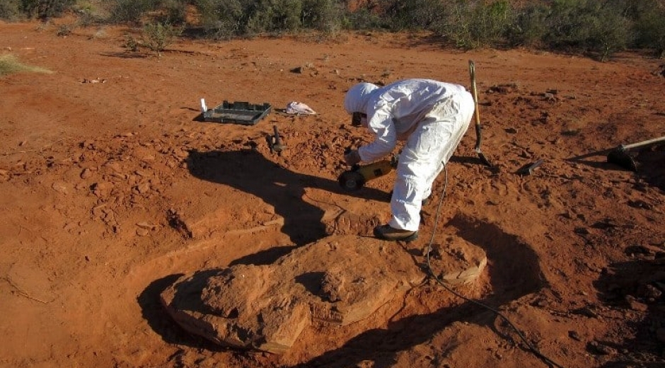 Lugar del descubrimiento de los restos del dinosaurio.