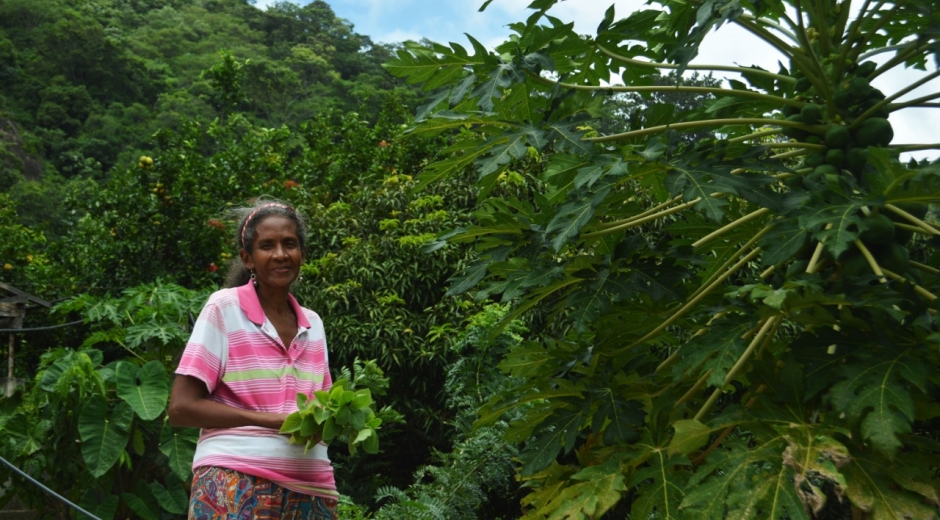 Maritza Quiroz tenía distintos cultivos en sus tierras restituidas.