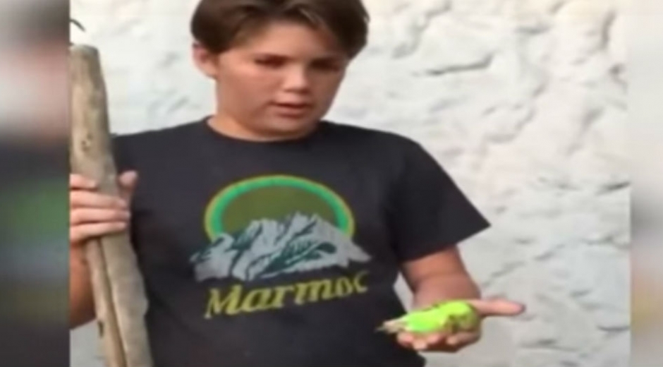 Captura Video
