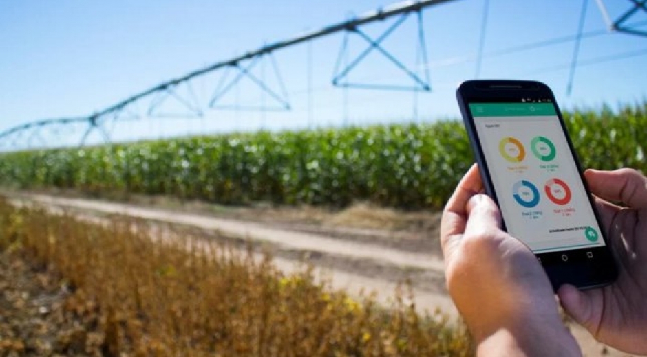 Imagen de referencia