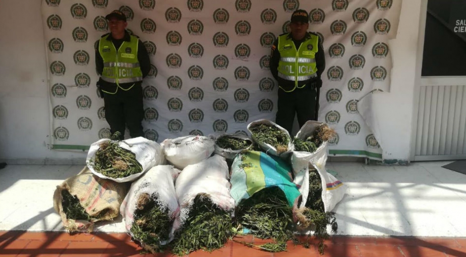 Marihuana erradicada en Palmor.