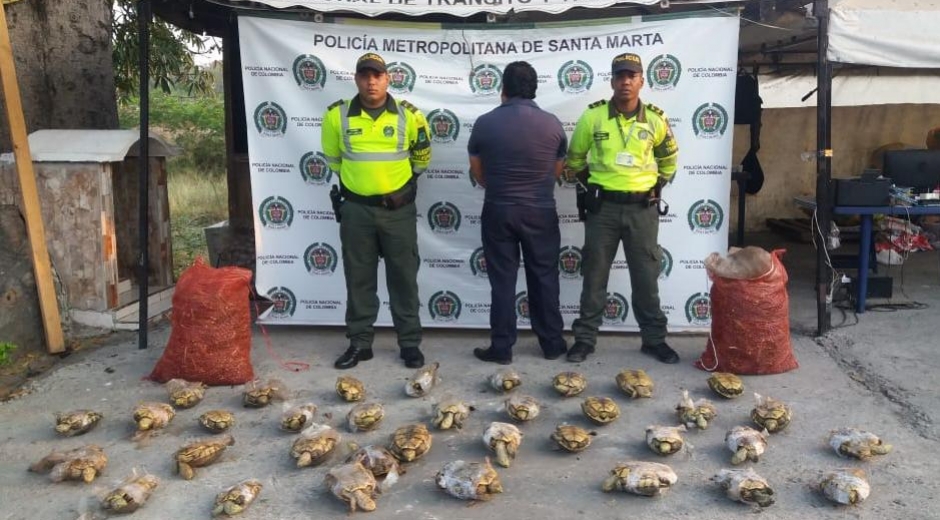 El sujeto pretendía comercializar las hicoteas en Barranquilla