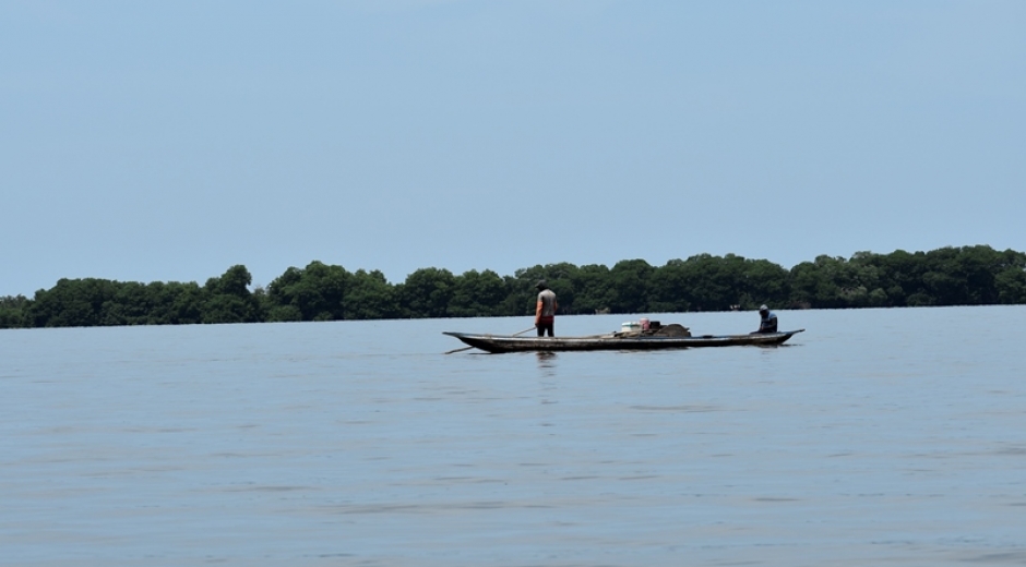 Ciénaga Grande de Santa Marta