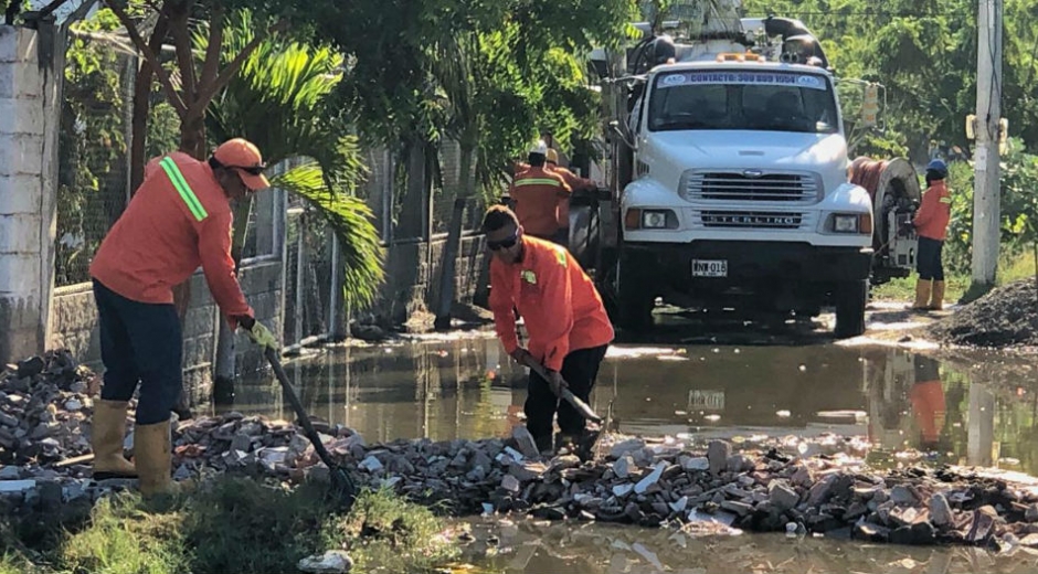 Trabajos en zuca