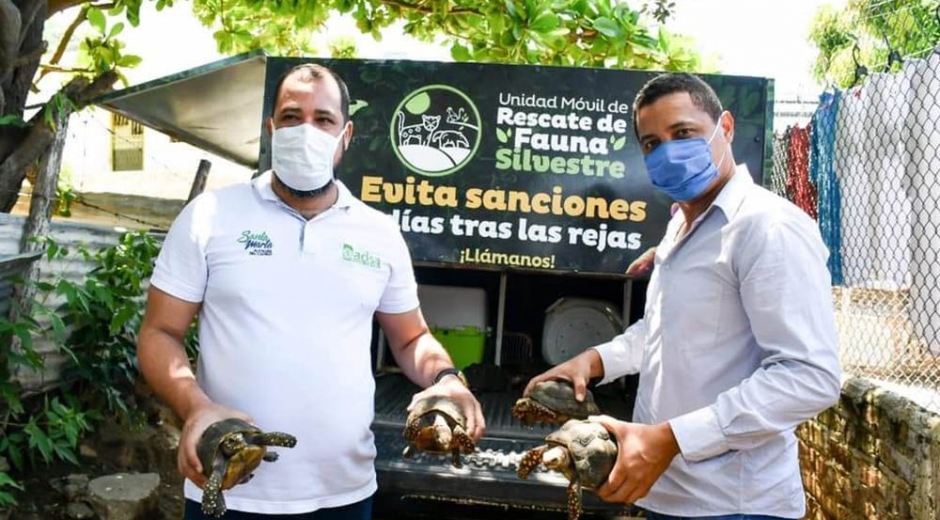 Recuperación de tortugas. 